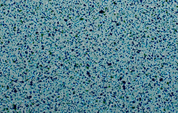 Композитный бассейн